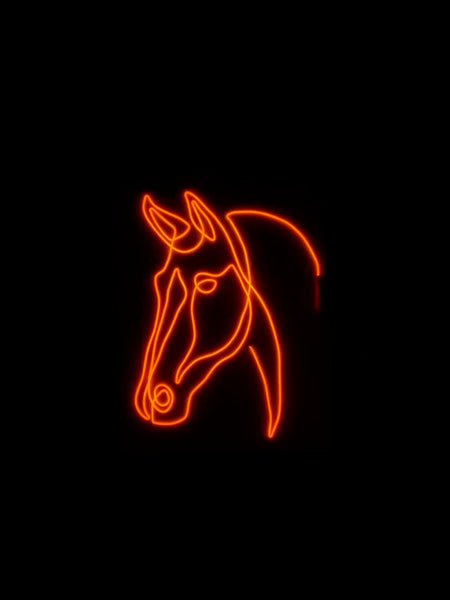 DIY neon sign pakket